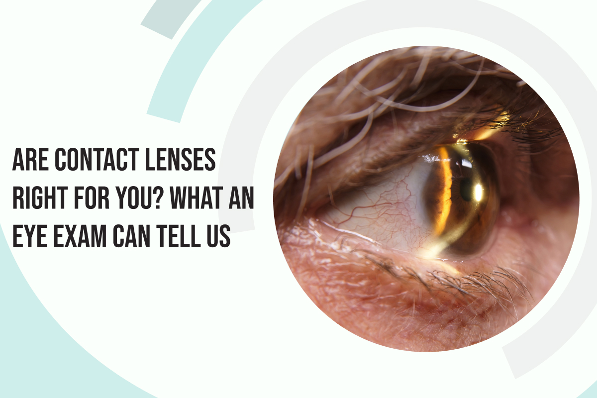Are Contact Lenses Right for You? What an Eye Exam Can Tell Us